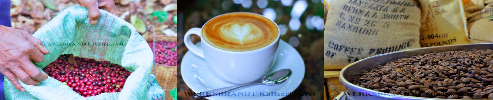 WERKSBRANDT Kaffeerösterei Impressionen Kaffeekirschen im Sack Latteart Kaffee im Kühlsieb