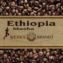Etiopia Masha Schokolade, Wild, Beeren, Honig - blumig komplex 
