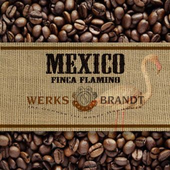 Mexico Finca Flamingo 500g