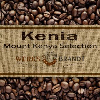 Kenia Mount Kenya 6x500g