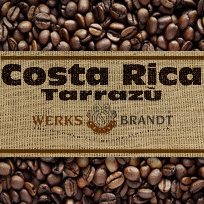 Costa Rica Finca Arecas 250g