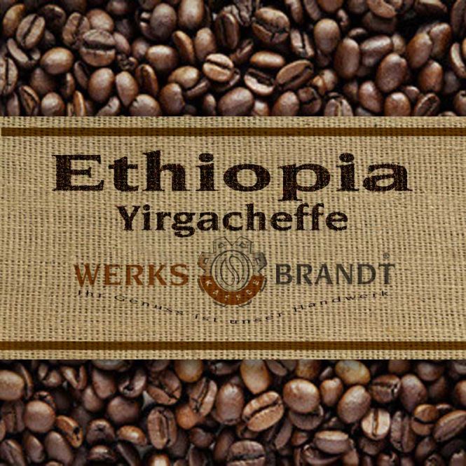 Etiopia Yirgacheffe Mamo Kacha 6x500g