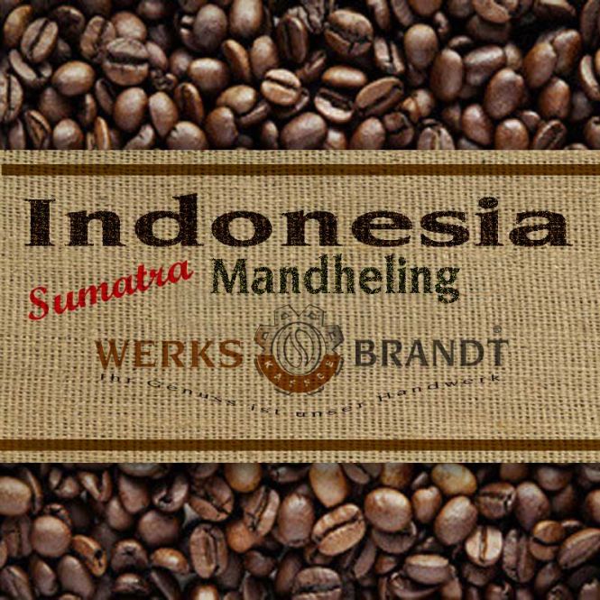 Indonesia Sumatra Mandheling 6x500g